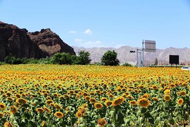 好评艺术解谜游戏《纪念碑谷1&2》4月15日登陆主机平台