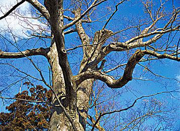 暴雪公布第二弹《暗黑破坏神2：重制版》真人宣传片