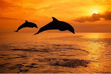 Xbox云游戏现已正式登陆了PC和iOS端